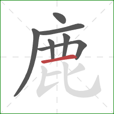 鹿的笔顺第7画：横