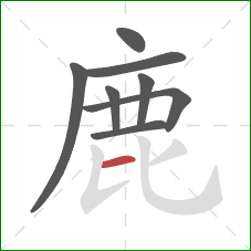 鹿的笔顺第8画：横