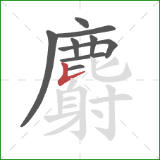 麝的笔顺第9画：竖提