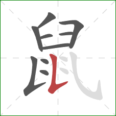 鼠的笔顺第10画：竖提