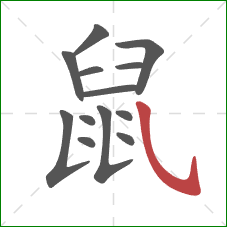 鼠的笔顺第13画：斜钩