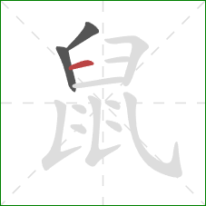 鼠的笔顺第3画：横