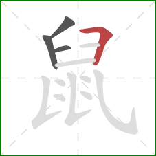 鼠的笔顺第4画：横折