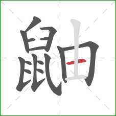 鼬的笔顺第16画:横 鼬的笔顺第16画:横