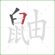 鼬的笔顺第4画:横折 鼬的笔顺第4画:横折