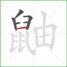 鼬的笔顺第6画:横 鼬的笔顺第6画:横