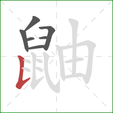 鼬的笔顺第7画:竖提 鼬的笔顺第7画:竖提