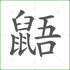 鼯的部首 鼯的部首
