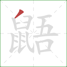 鼯的笔顺第1画:撇 鼯的笔顺第1画:撇