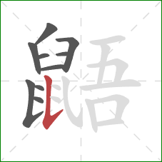 鼯的笔顺第10画:竖提 鼯的笔顺第10画:竖提