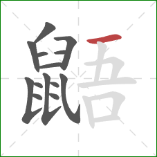 鼯的笔顺第14画:横 鼯的笔顺第14画:横