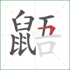 鼯的笔顺第16画:横折 鼯的笔顺第16画:横折