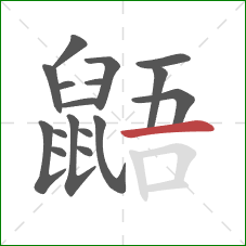 鼯的笔顺第17画:横 鼯的笔顺第17画:横