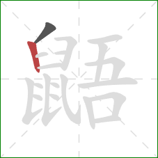 鼯的笔顺第2画:竖 鼯的笔顺第2画:竖