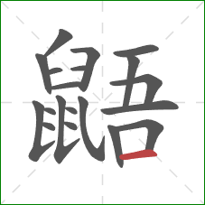 鼯的笔顺第20画:横 鼯的笔顺第20画:横