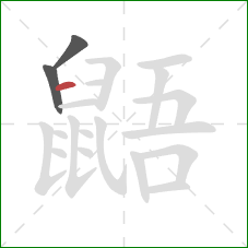 鼯的笔顺第3画:横 鼯的笔顺第3画:横