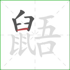 鼯的笔顺第6画:横 鼯的笔顺第6画:横