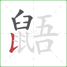 鼯的笔顺第7画:竖提 鼯的笔顺第7画:竖提