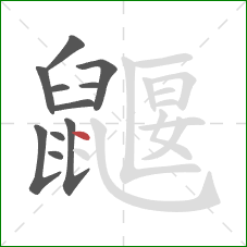 鼴的笔顺第11画：点