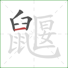 鼴的笔顺第6画：横