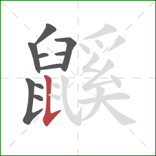 鼷的笔顺第10画:竖提 鼷的笔顺第10画:竖提