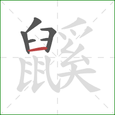 鼷的笔顺第6画:横 鼷的笔顺第6画:横