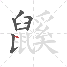 鼷的笔顺第8画:点 鼷的笔顺第8画:点