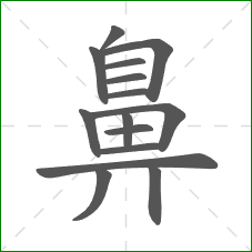 鼻的部首 鼻的部首