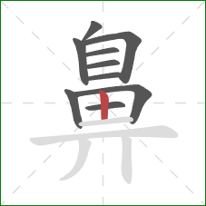 鼻的笔顺第10画:竖 鼻的笔顺第10画:竖