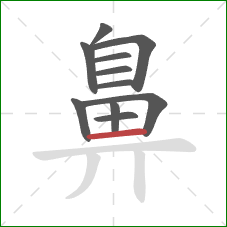 鼻的笔顺第11画:横 鼻的笔顺第11画:横