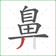 鼻的笔顺第13画:撇 鼻的笔顺第13画:撇