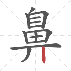 鼻的笔顺第14画:竖 鼻的笔顺第14画:竖