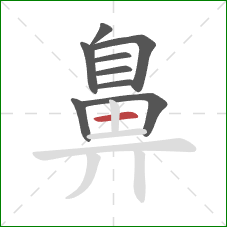 鼻的笔顺第9画:横 鼻的笔顺第9画:横