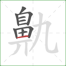 鼽的笔顺第11画:横 鼽的笔顺第11画:横