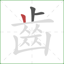 齒的笔顺第3画:竖 齒的笔顺第3画:竖