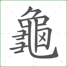 龜的部首 龜的部首