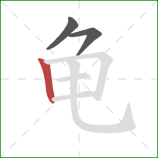 龟的笔顺第3画:竖 龟的笔顺第3画:竖
